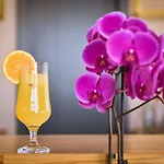 Airport Garden Hotel Rinas